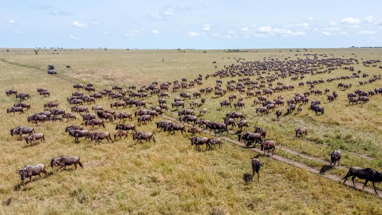 Africa Safari Serengeti Ikoma Екстер'єр фото