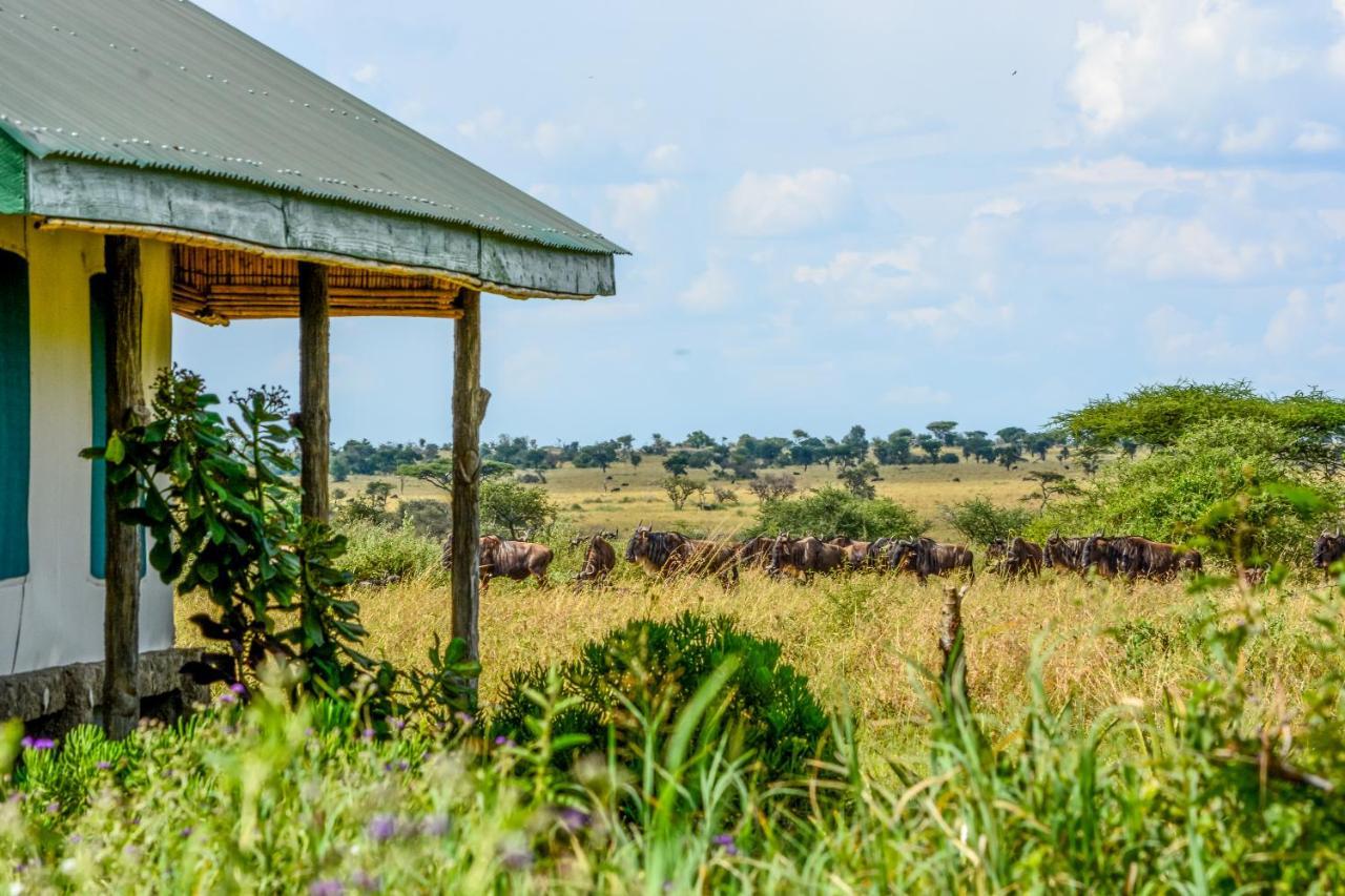 Africa Safari Serengeti Ikoma Екстер'єр фото