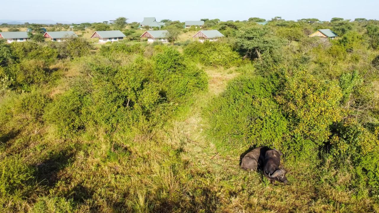 Africa Safari Serengeti Ikoma Екстер'єр фото