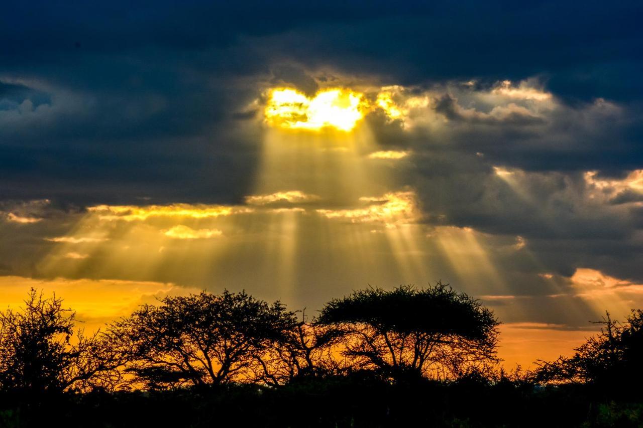 Africa Safari Serengeti Ikoma Екстер'єр фото