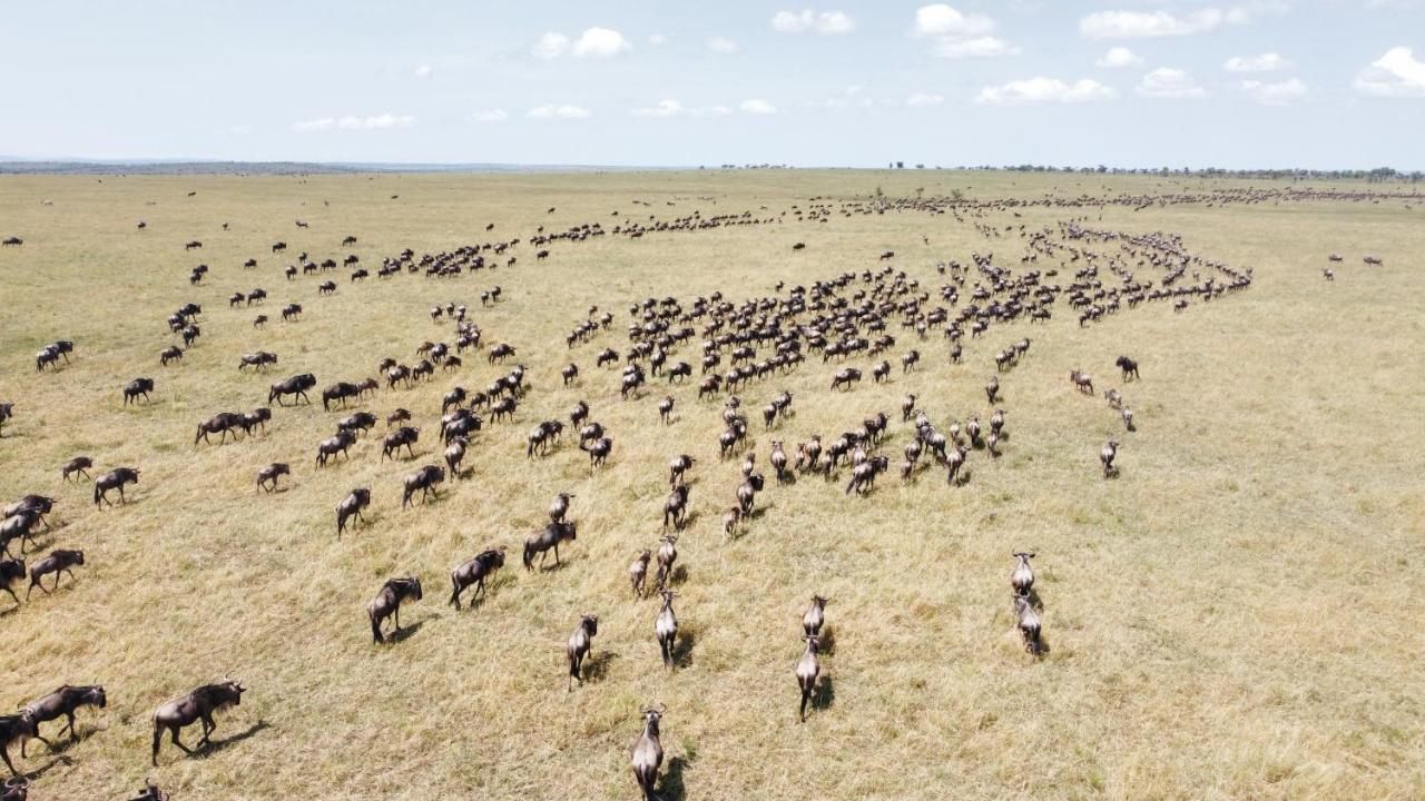 Africa Safari Serengeti Ikoma Екстер'єр фото