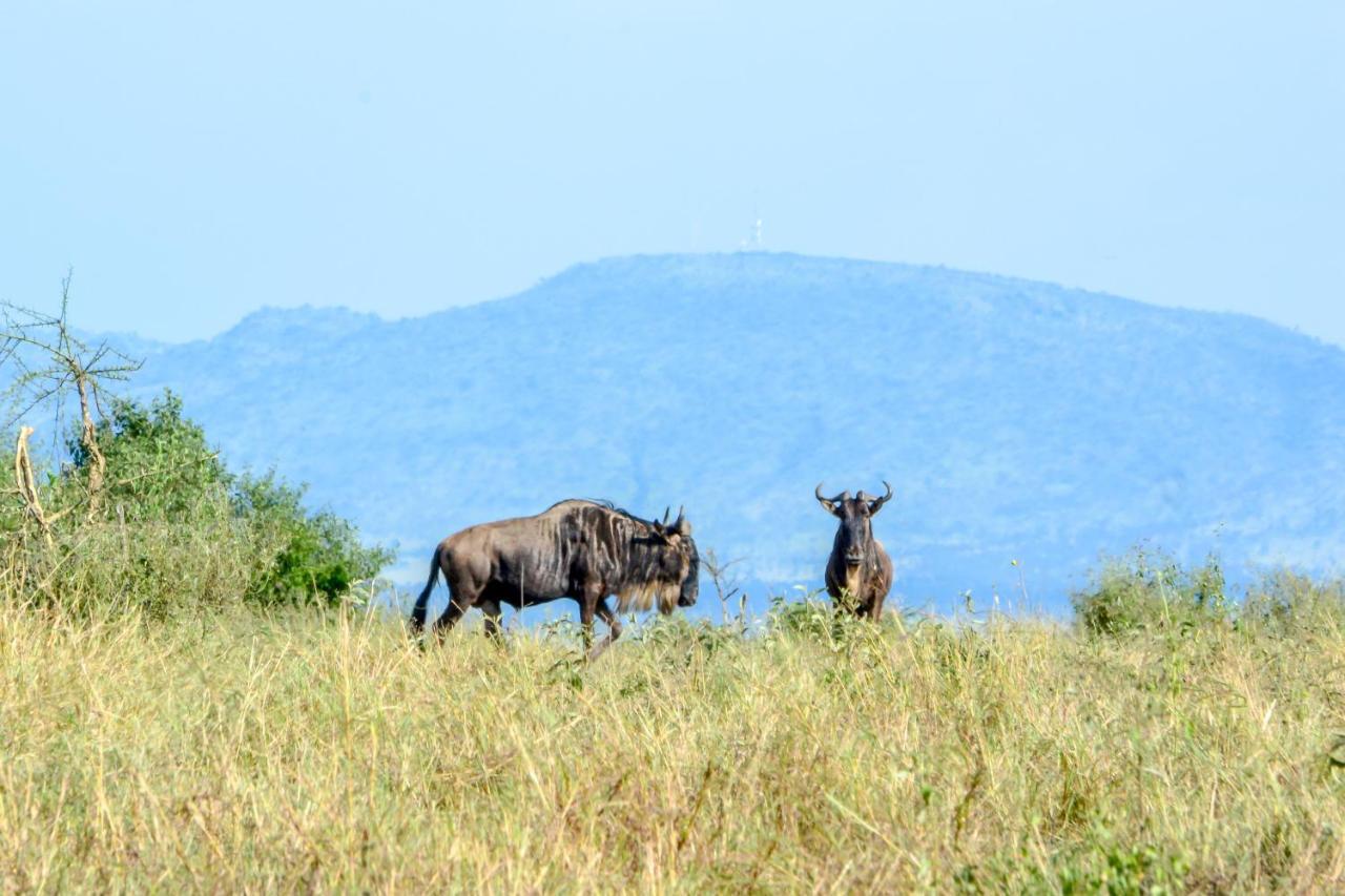 Africa Safari Serengeti Ikoma Екстер'єр фото