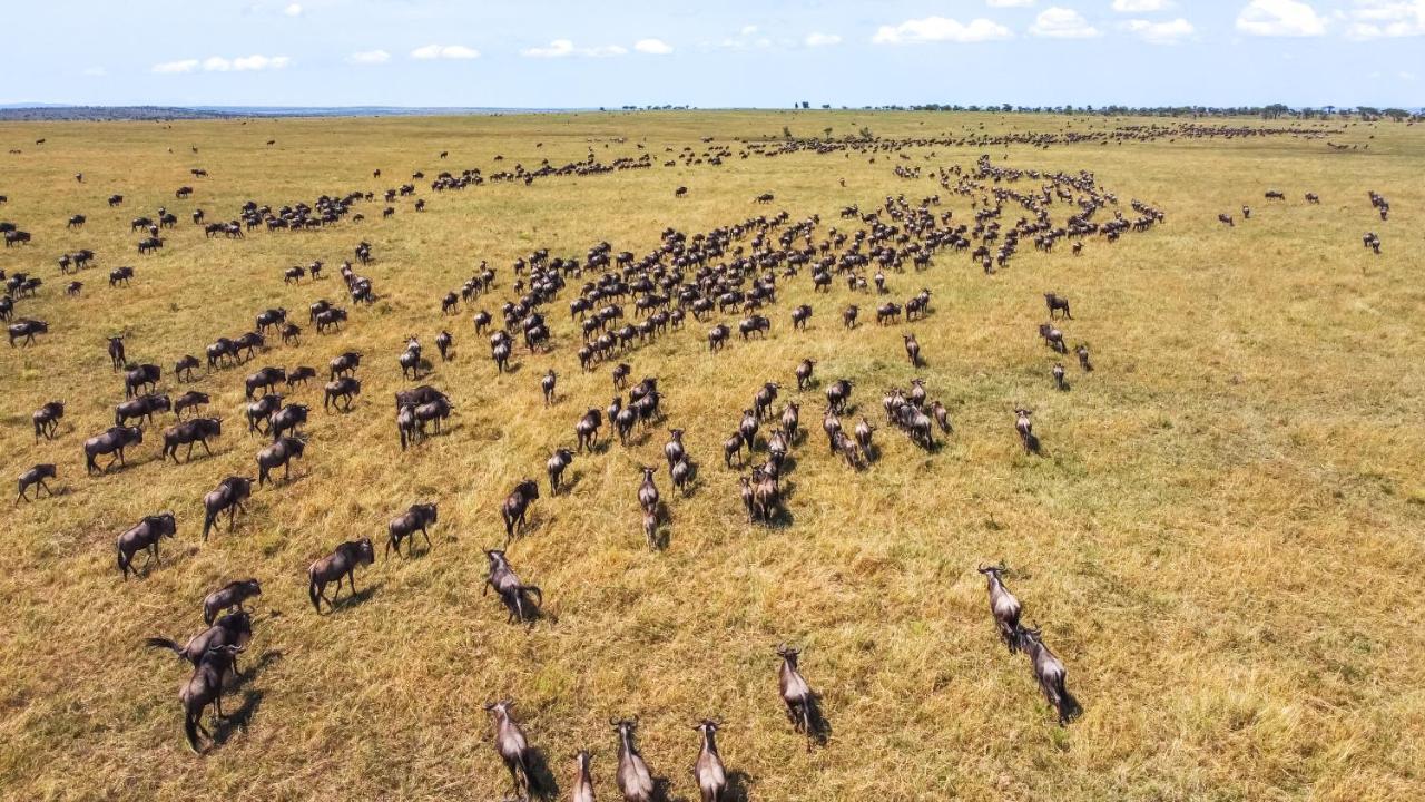 Africa Safari Serengeti Ikoma Екстер'єр фото