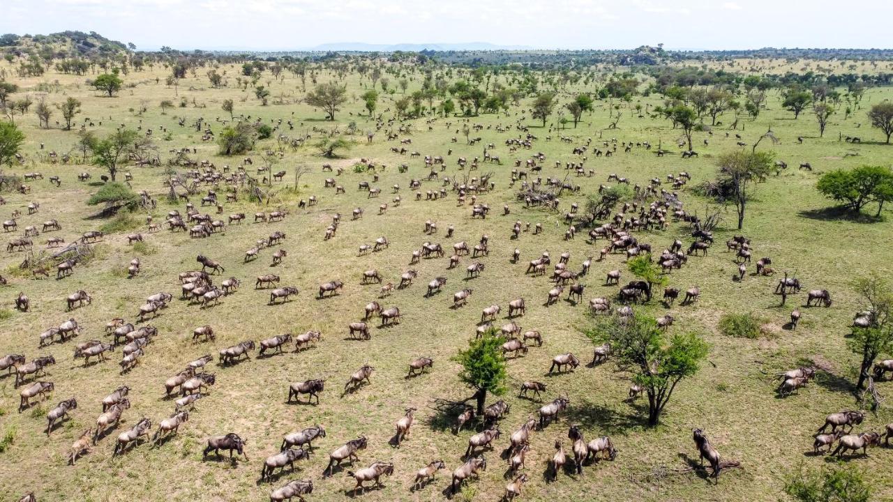 Africa Safari Serengeti Ikoma Екстер'єр фото